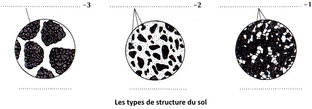 svt bac maroc