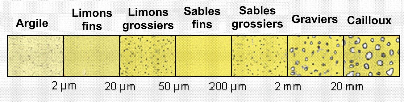 svt bac maroc