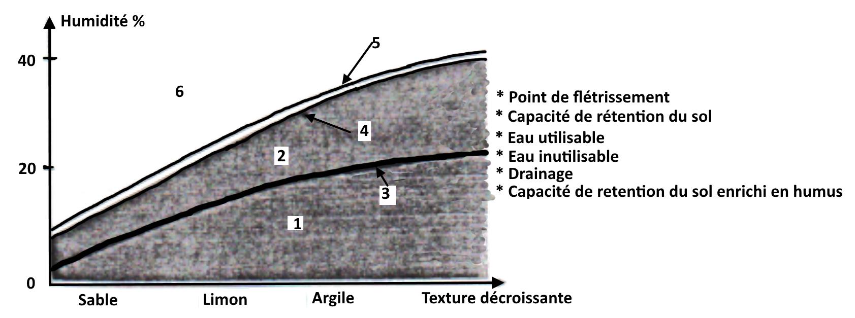 svt bac maroc