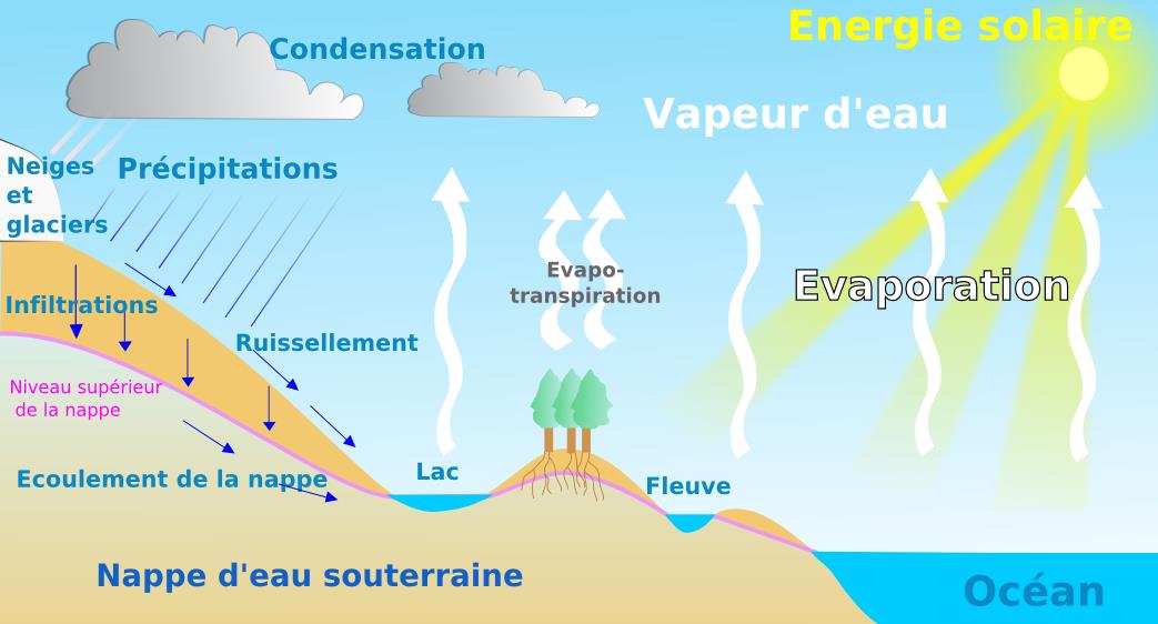 svt bac maroc