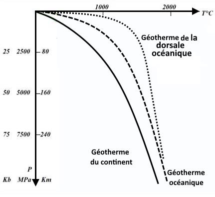 svt bac maroc