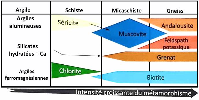 svt bac maroc