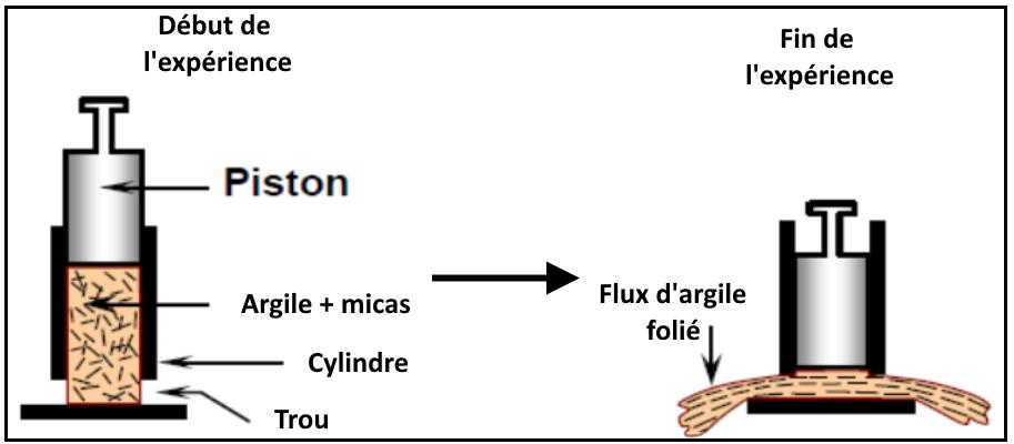 svt bac maroc