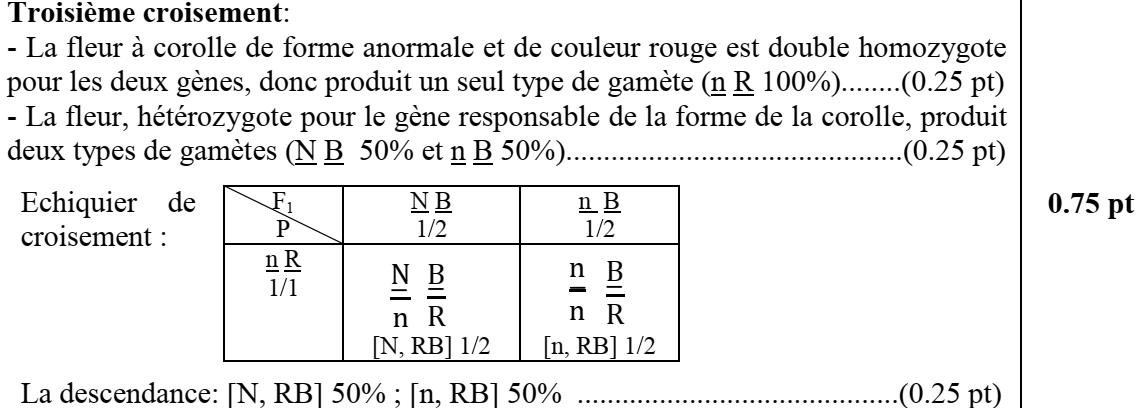 svt bac maroc