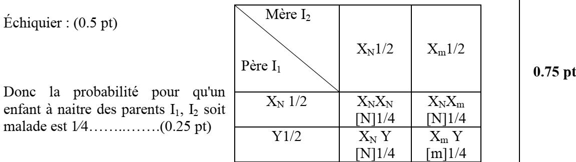 svt bac maroc