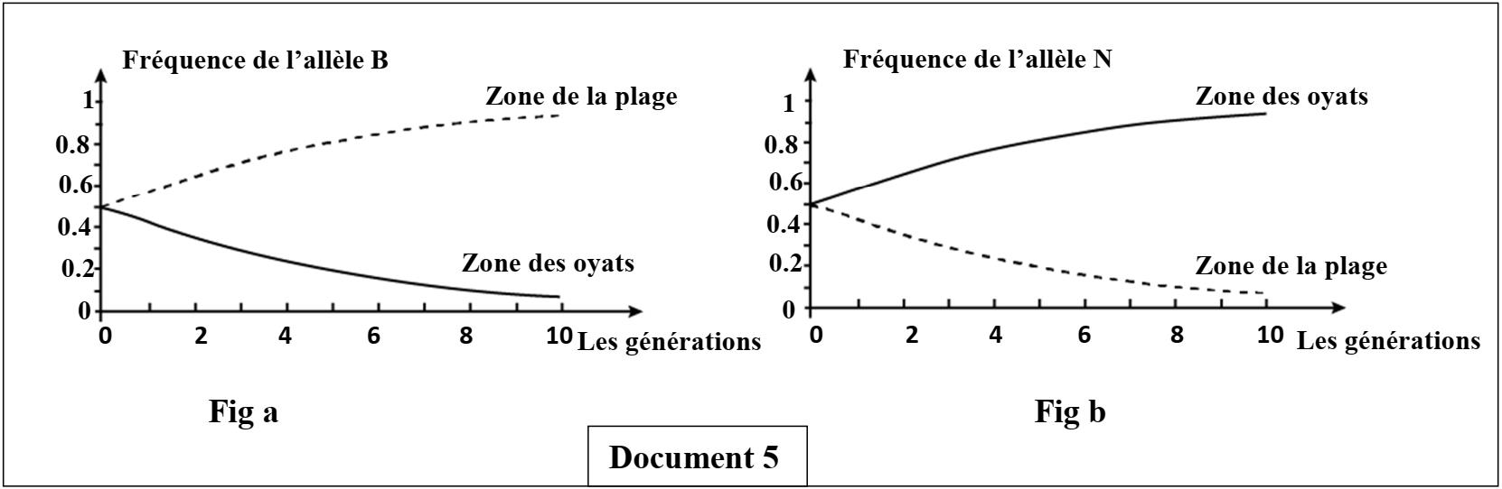 svt bac maroc