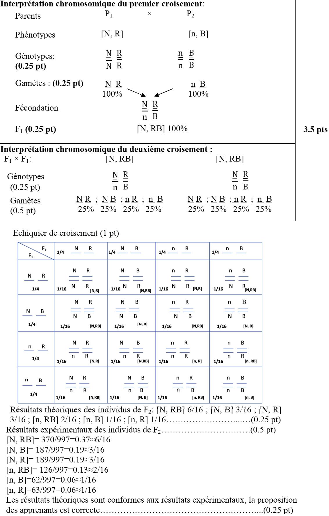 svt bac maroc