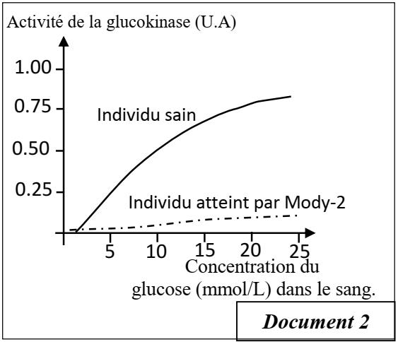 Résumé [SVT/ Première C et D-Mise en évidence de la fermentation alcoolique  du glucose]