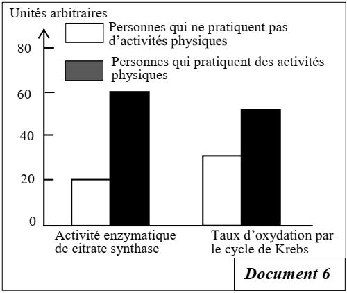 svt bac maroc