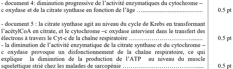 svt bac maroc