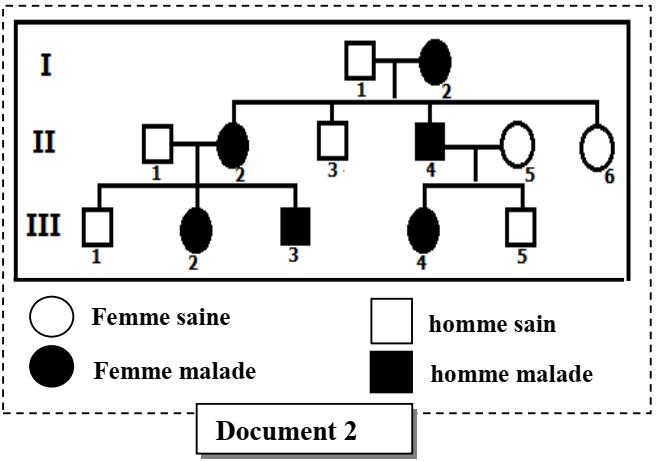 svt bac maroc