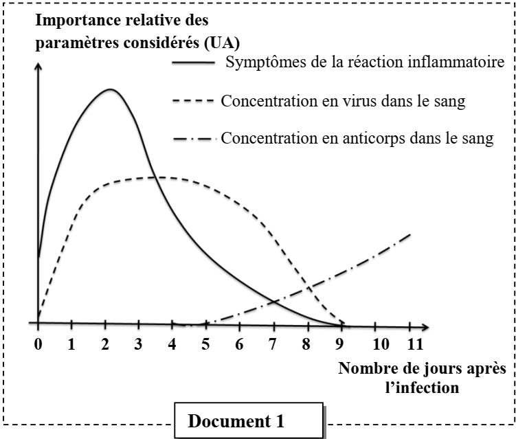 svt bac maroc