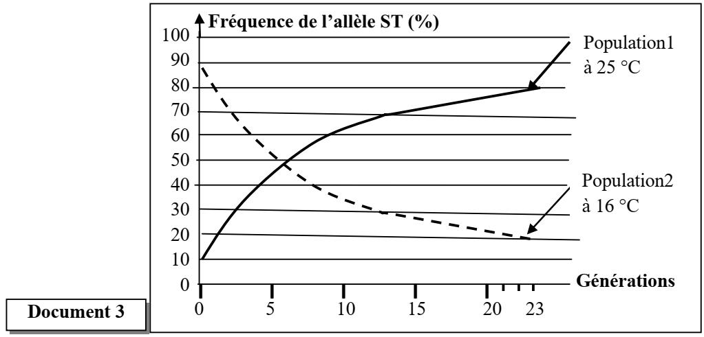 svt bac maroc