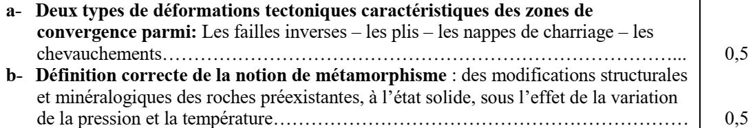 svt bac maroc