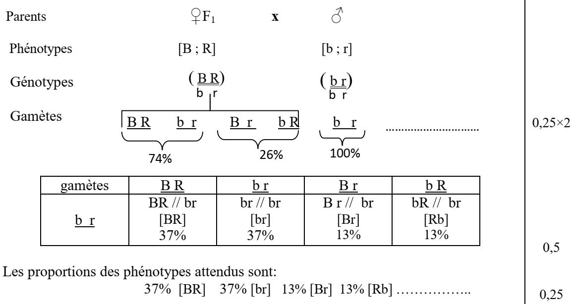 svt bac maroc