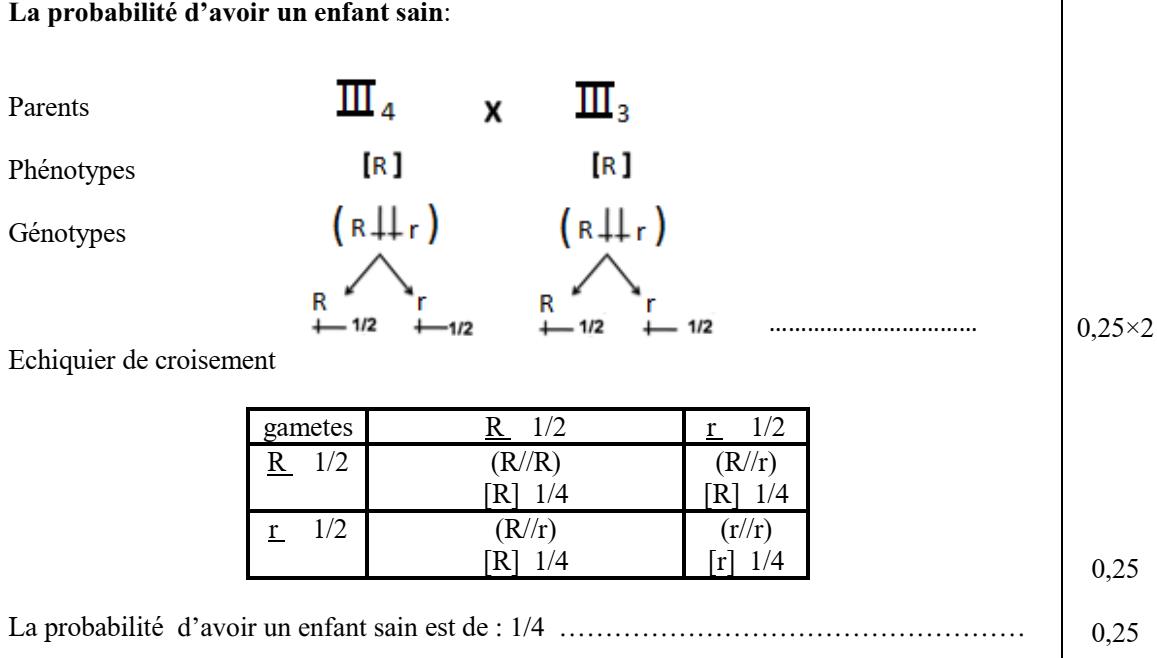 svt bac maroc