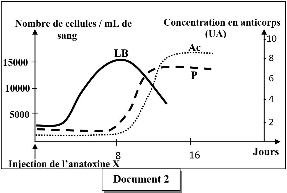 svt bac maroc