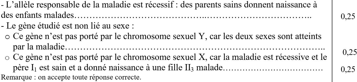 svt bac maroc