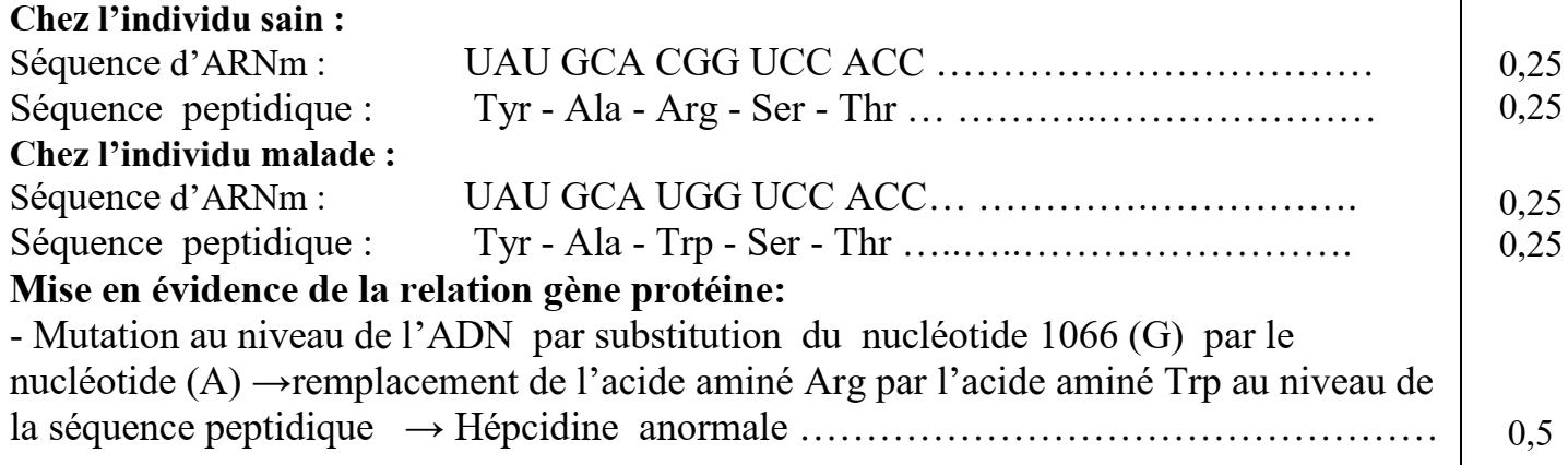 svt bac maroc