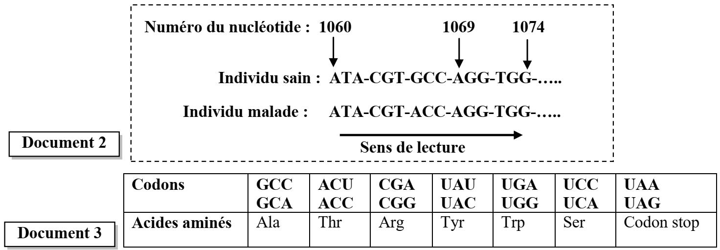 svt bac maroc