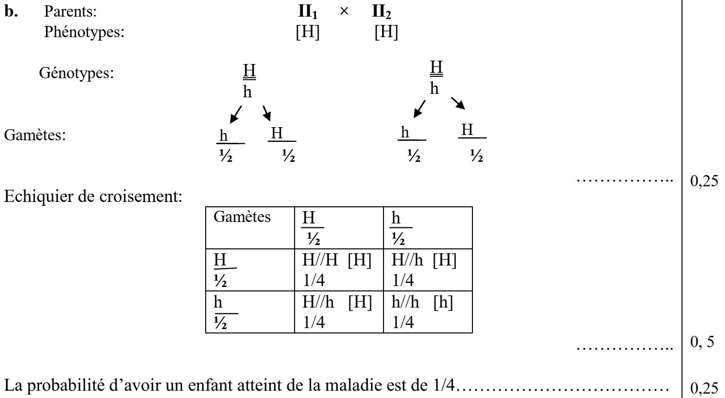 svt bac maroc