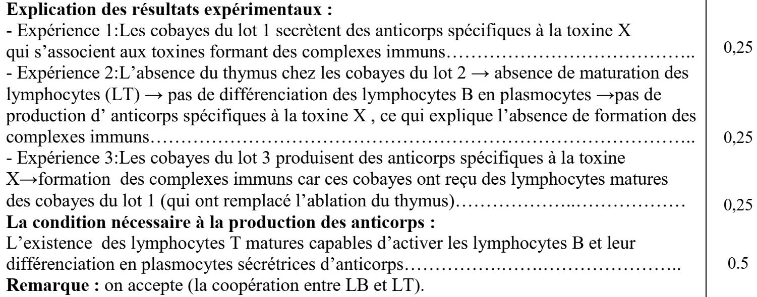 svt bac maroc