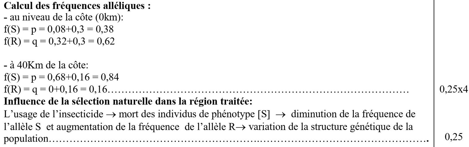 svt bac maroc