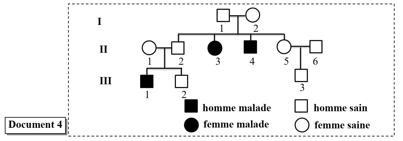 svt bac maroc