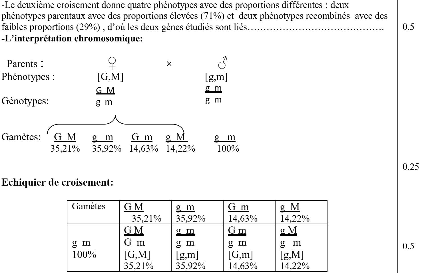 svt bac maroc