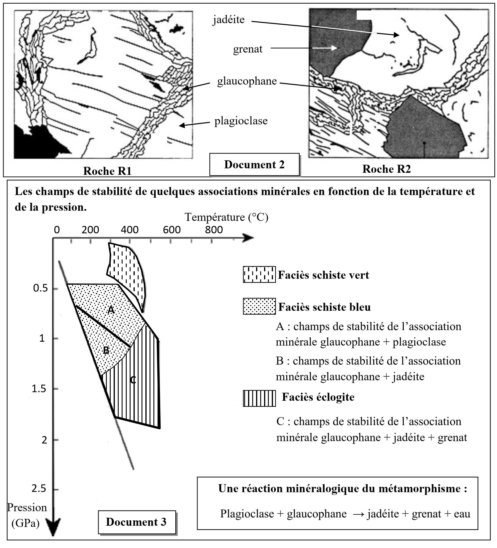 svt bac maroc