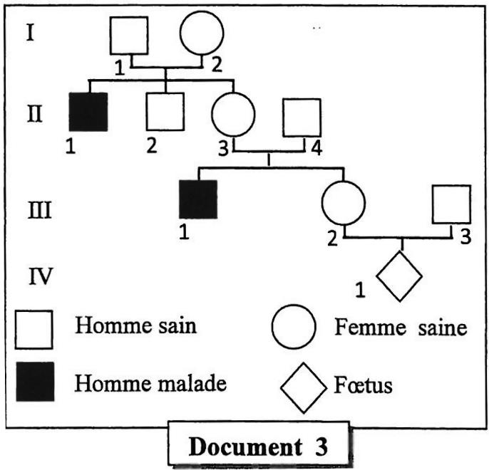 svt bac maroc