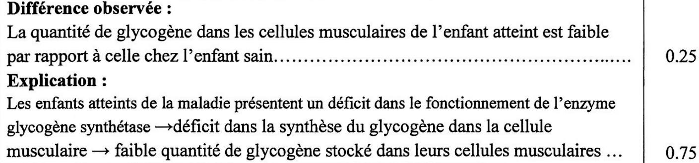 svt bac maroc