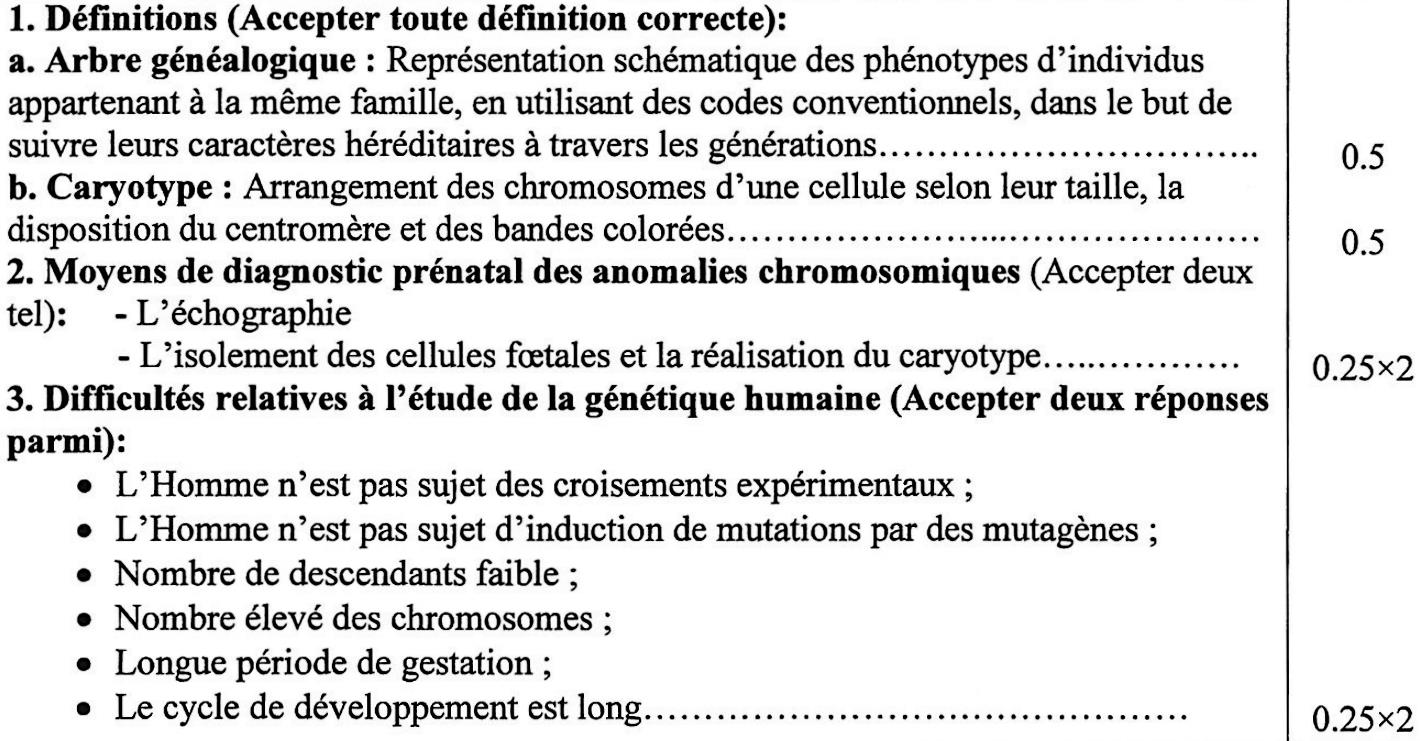 svt bac maroc