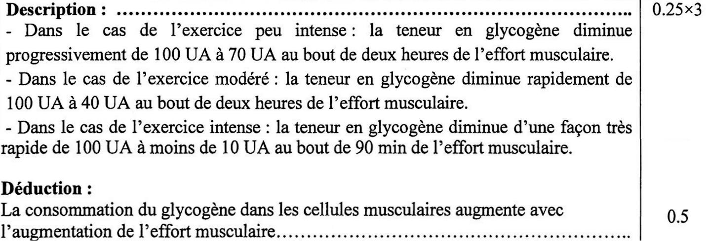 svt bac maroc