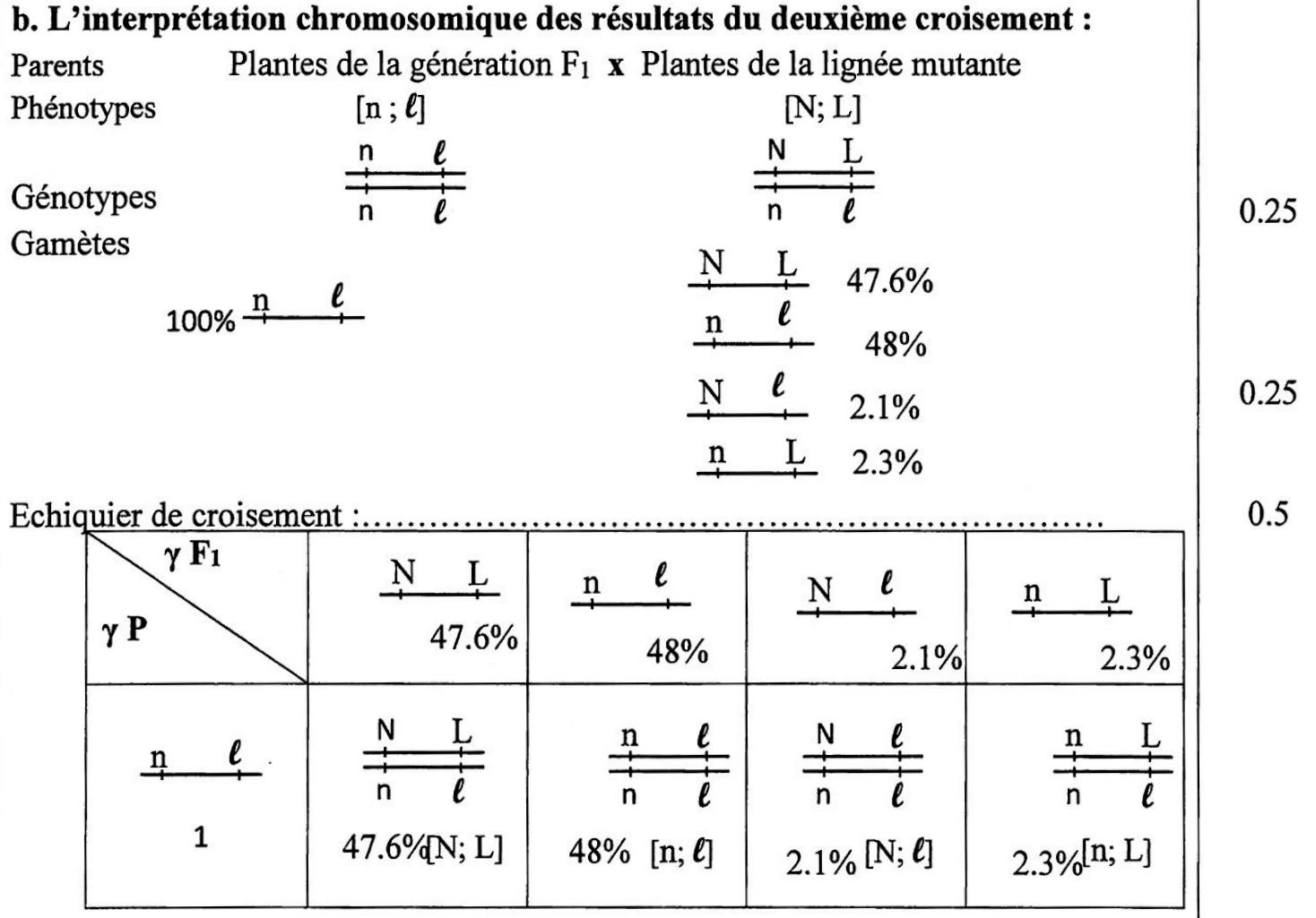 svt bac maroc