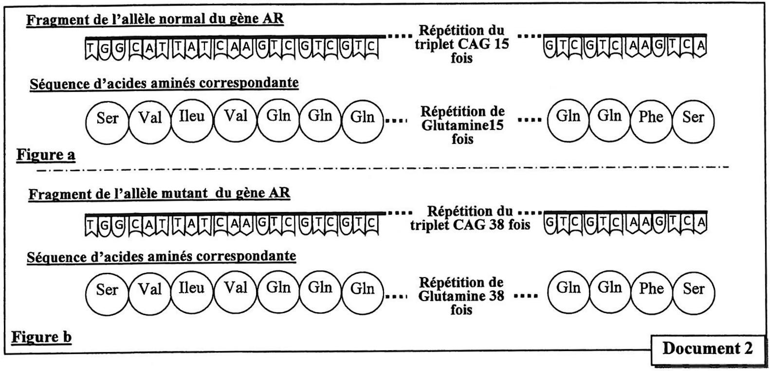 svt bac maroc