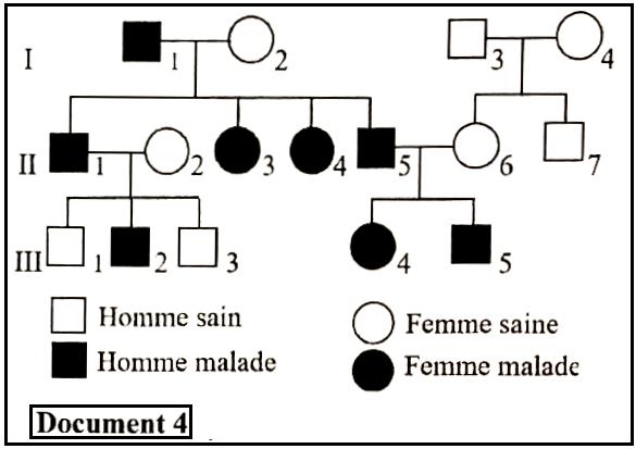 svt bac maroc