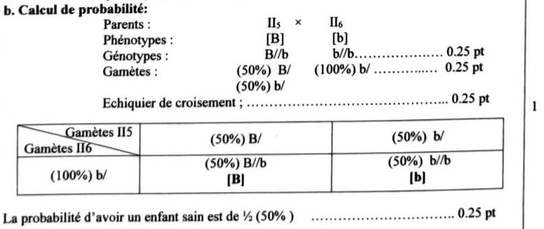 svt bac maroc