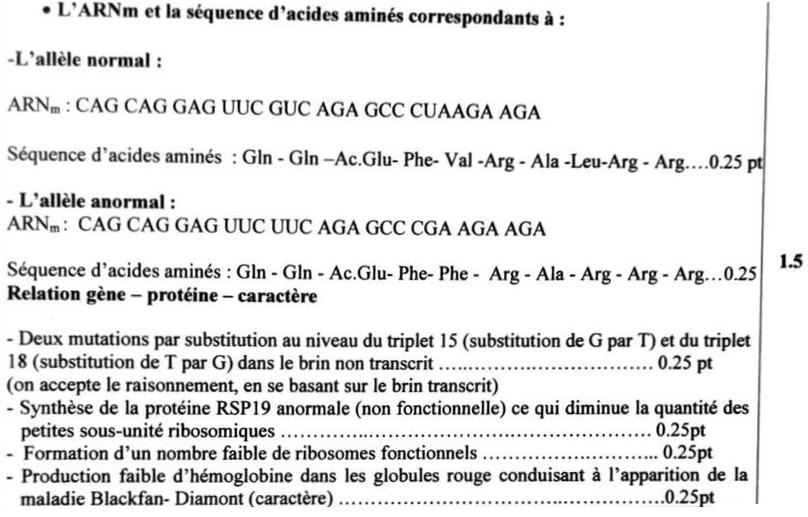 svt bac maroc