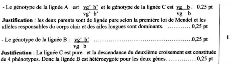 svt bac maroc