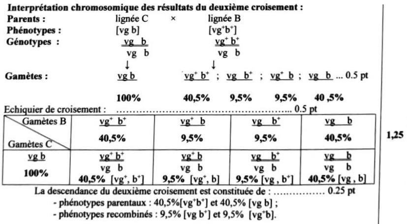 svt bac maroc