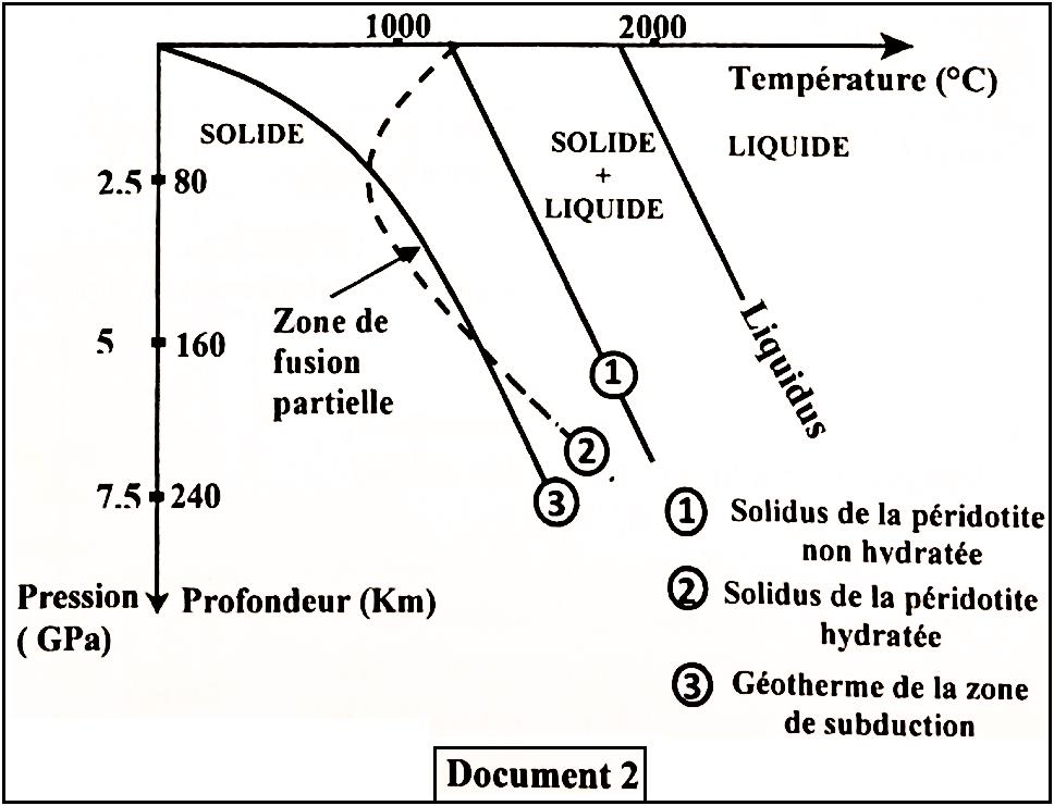 svt bac maroc