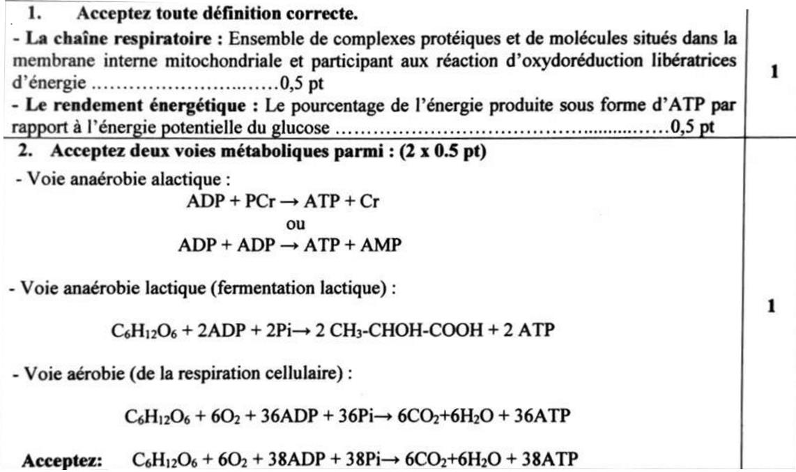 svt bac maroc