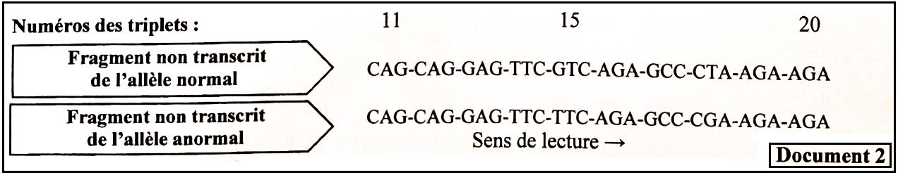 svt bac maroc