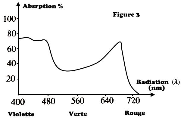 svt bac maroc