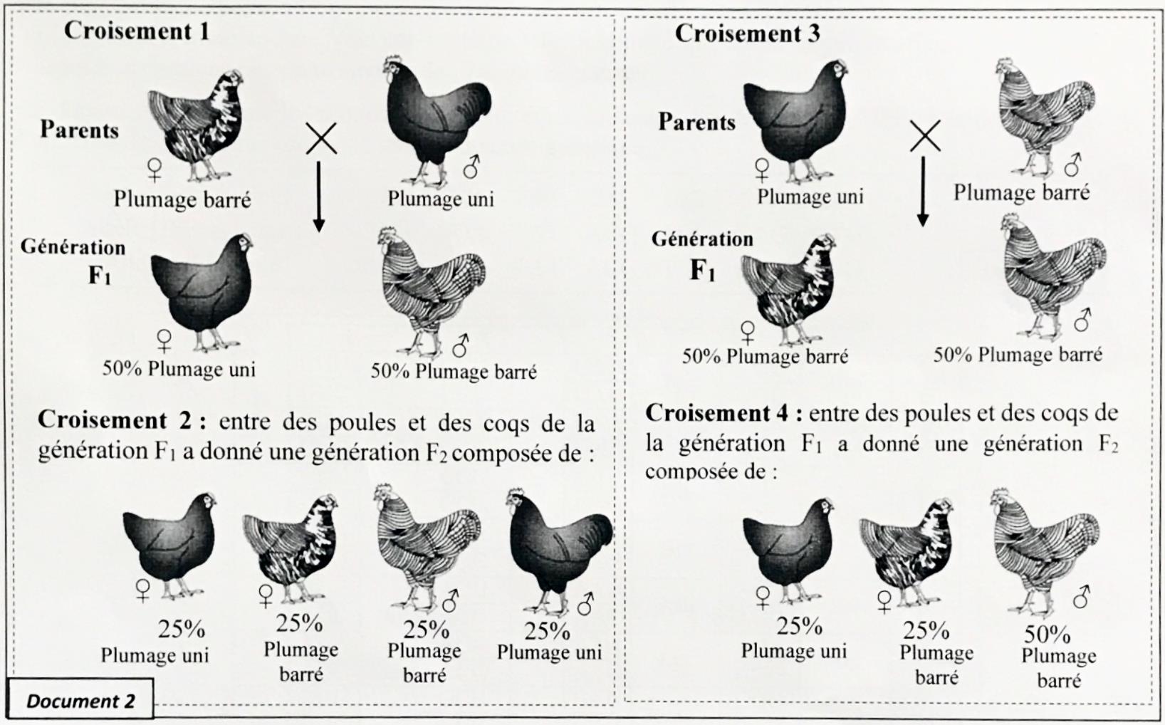 svt bac maroc