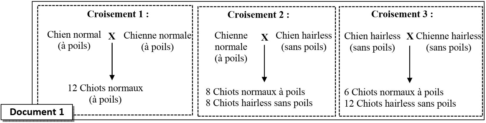 svt bac maroc